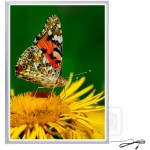 LED Poster Frames